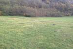Zemljiste, Kanfanar, prodaja, 137000 €, 13270 m2