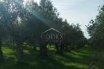 Zemljiste, Umag, prodaja, 35000 €, 835 m2