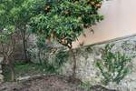 Trosoban stan, Mali Lošinj, prodaja, 345000 €, 114 m2