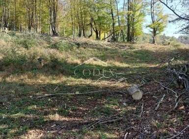 Zemljiste, Klana, prodaja, 156000 €, 7973 m2