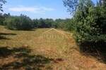 Zemljiste, Vodnjan, prodaja, 27000 €, 3500 m2