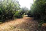 Zemljiste, Vodnjan, prodaja, 27000 €, 3500 m2