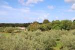 Kuca, Vodnjan, Galižana, prodaja, 571000 €, 202 m2