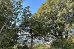 Zemljiste, Crikvenica, prodaja, 28500 €, 994 m2