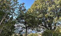 Zemljiste, Crikvenica, prodaja, 28500 €, 994 m2
