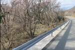 Zemljiste, Kraljevica, Veli Dol, prodaja, 11500 €, 334 m2