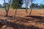 Zemljiste, Pula, Štinjan, prodaja, 103000 €, 666 m2