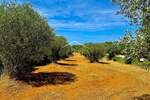 Zemljiste, Bale, prodaja, 47000 €, 3060 m2