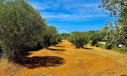 Zemljiste, Bale, prodaja, 47000 €, 3060 m2