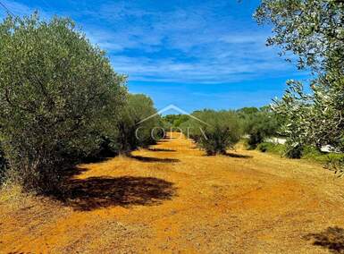 Zemljiste, Bale, prodaja, 47000 €, 3060 m2