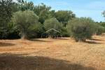 Zemljiste, Bale, prodaja, 47000 €, 3060 m2