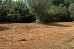 Zemljiste, Bale, prodaja, 47000 €, 3060 m2