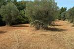 Zemljiste, Bale, prodaja, 47000 €, 3060 m2