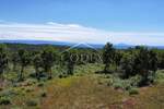 Zemljiste, Marčana, Krnica, prodaja, 310000 €, 29209 m2