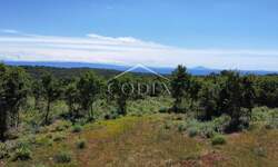 Zemljiste, Marčana, Krnica, prodaja, 310000 €, 29209 m2