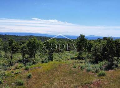 Zemljiste, Marčana, Krnica, prodaja, 310000 €, 29209 m2