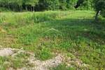 Zemljiste, Buje, prodaja, 27000 €, 6039 m2