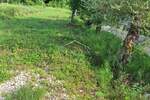 Zemljiste, Buje, prodaja, 27000 €, 6039 m2