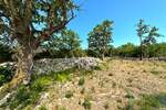Zemljiste, Labin, Salakovci, prodaja, 1125000 €, 8581 m2