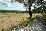 Zemljiste, Labin, Salakovci, prodaja, 1125000 €, 8581 m2