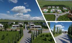 Zemljiste, Bale, prodaja, 990000 €, 22620 m2