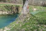 Zemljiste, Buzet, Sovinjak, prodaja, 12000 €, 1002 m2