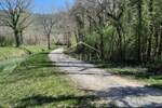Zemljiste, Buzet, Sovinjak, prodaja, 12000 €, 1002 m2