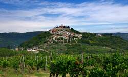 Zemljiste, Motovun, prodaja, 85000 €, 3884 m2