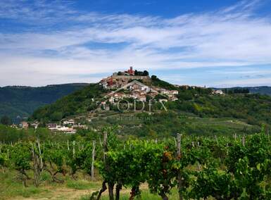 Zemljiste, Motovun, prodaja, 85000 €, 3884 m2