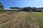 Zemljiste, Žminj, prodaja, 97500 €, 1246 m2