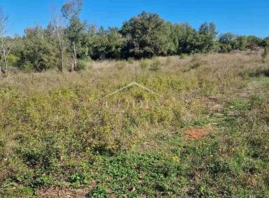 Zemljiste, Rovinj, Rovinjsko Selo, prodaja, 37000 €, 5928 m2