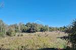 Zemljiste, Rovinj, Rovinjsko Selo, prodaja, 37000 €, 5928 m2