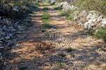 Zemljiste, Rovinj, Rovinjsko Selo, prodaja, 37000 €, 5928 m2