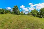 Zemljiste, Grožnjan, Šterna, prodaja, 168000 €, 1579 m2