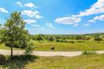Zemljiste, Grožnjan, Šterna, prodaja, 168000 €, 1579 m2