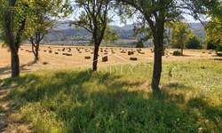 Kuca, Otočac, Ličko Lešće, prodaja, 135000 €, 160 m2