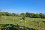 Zemljiste, Marčana, Peruški, prodaja, 38000 €, 1043 m2