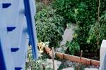 Kuca, Vinodol, Drivenik, prodaja, 255000 €, 150 m2
