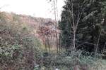 Zemljiste, Kršan, Kostrčani, prodaja, 115000 €, 85199 m2