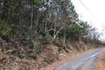 Zemljiste, Kršan, Kostrčani, prodaja, 115000 €, 85199 m2