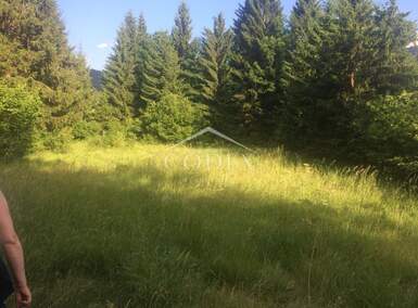 Zemljiste, Delnice, Lučice, prodaja, 129000 €, 2436 m2
