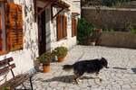 Kuca, Mali Lošinj, Veli Lošinj, prodaja, 460000 €, 150 m2
