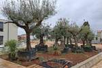 Jednosoban stan, Poreč, prodaja, 148000 €, 32 m2