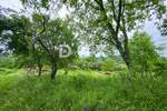 Zemljiste, Buzet, prodaja, 56000 €, 1823 m2