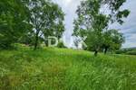 Zemljiste, Buzet, prodaja, 56000 €, 1823 m2
