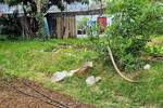 Zemljiste, Rijeka, Pehlin, prodaja, 95000 €, 600 m2