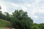 Zemljiste, Poreč, prodaja, 105000 €, 593 m2