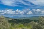 Zemljiste, Buje, prodaja, 268200 €, 1341 m2