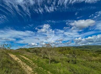 Zemljiste, Buje, prodaja, 375800 €, 1879 m2