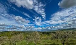 Zemljiste, Buje, prodaja, 481400 €, 2407 m2